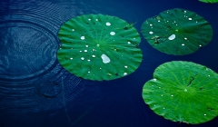 公司通過質量管理體系認證