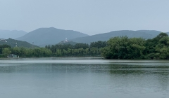 世紀(jì)放歌（深圳）公司正式挂牌成立