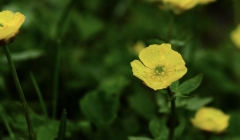 3月涉密咨詢項目接連(lián)通過(guò)審核